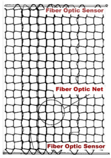 fiber optic sensor